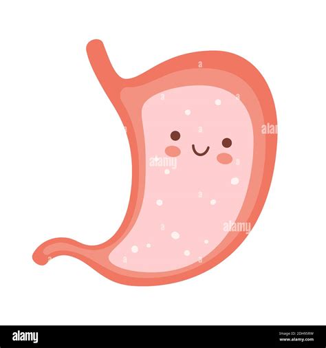 Top 142 Dibujo Del Estómago Humano Ginformatemx