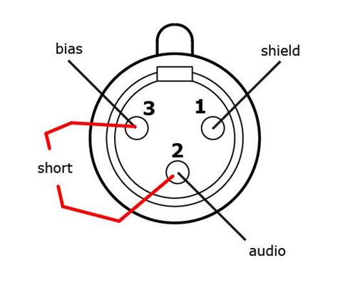 Diagram 12v Microphone Wiring Diagram Schematic Mydiagramonline