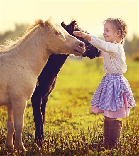 25 Informative And Fun Facts About Horses For Kids
