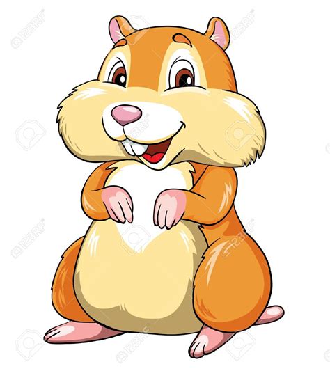 Download Hamster Clipart For Free Designlooter 2020 👨‍🎨