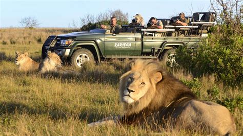 Big Five Safari Holidays In South Africa Discover Africa Safaris