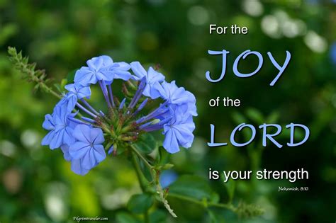 For The Joy Of The Lord Is Your Strength