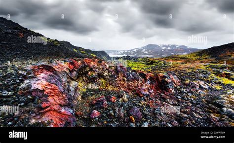 Panoramical View Of Reeky Lavas Field In The Geothermal Valley