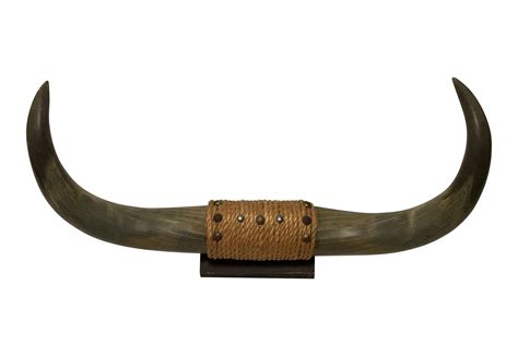 Cattle Horn Bull Chairish 1950s Horn Png Download 30242080 Free