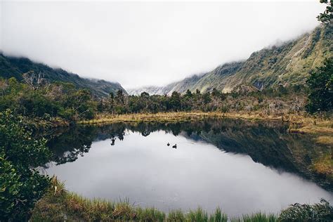 Hd Wallpaper New Zealand Franz Josef Glacier Lake Reflection Ducks