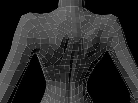 Topology Help First Full Body Model Topology Model Character