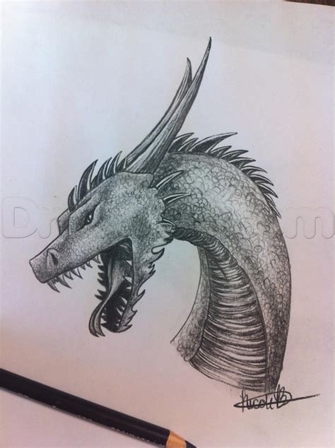 The first arc down makes the spines of the dragon's head. Free Dragon Drawing, Download Free Dragon Drawing png ...