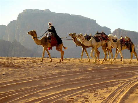 صور بدويه احلى صور البدو حول العالم صباحيات
