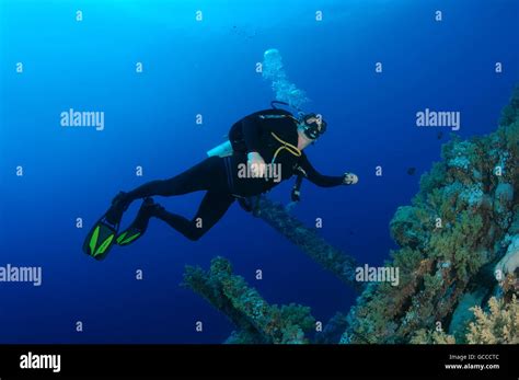 Red Sea Egypt Egypt 3rd Mar 2016 Male Scuba Diver At The Wreck Of