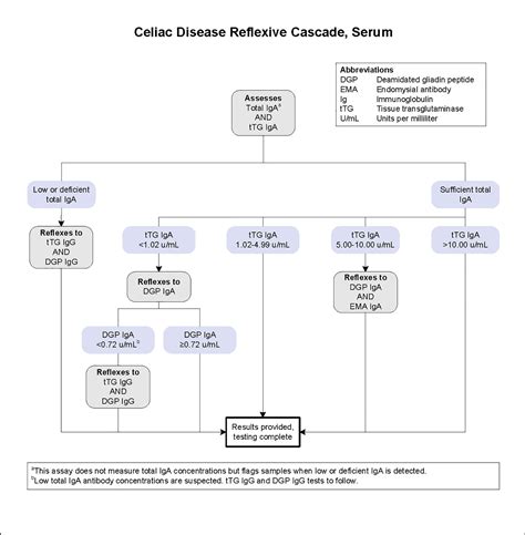 Celiac Disease Reflexive Cascade Serum Test Fact Sheet