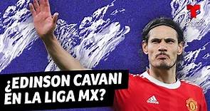 Edinson Cavani: Rumores sobre su llegada a la liga MX | Telemundo Deportes