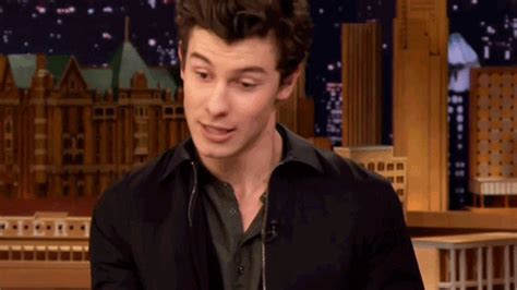 Shawn Mendes Says He Was Roughed Up By Drakes Security