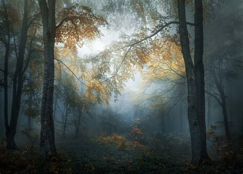 Best beginner photography books understanding exposure by bryan peterson. Overall winners revealed: 2018 Sony World Photography ...