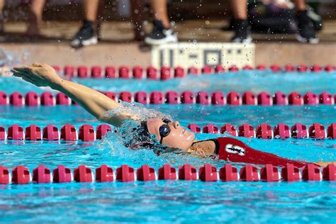 Women S Swimming Claims 30th Consecutive Dual Meet The Stanford Daily