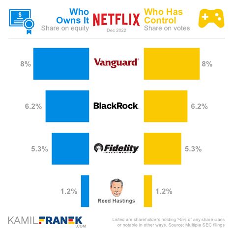 Who Owns Netflix The Largest Shareholders Overview Kamil Franek