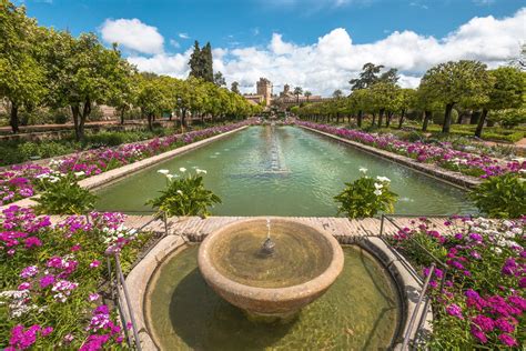 Tripadvisor has 306,539 reviews of cordoba hotels, attractions, and restaurants making it your best cordoba resource. 16 Fotos de Córdoba