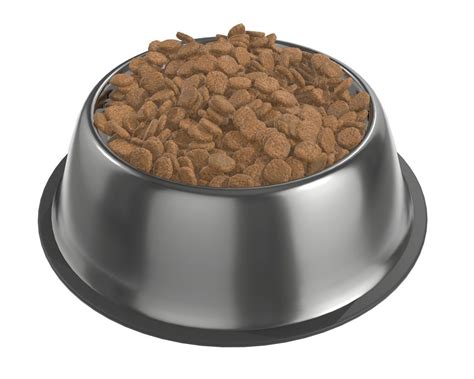 This is one of the cheapest dog food in india. 3D dog food bowl with food | CGTrader