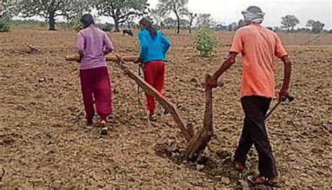 With No Money For Tractor Or Oxen Farmer Ploughs Field Using Daughters