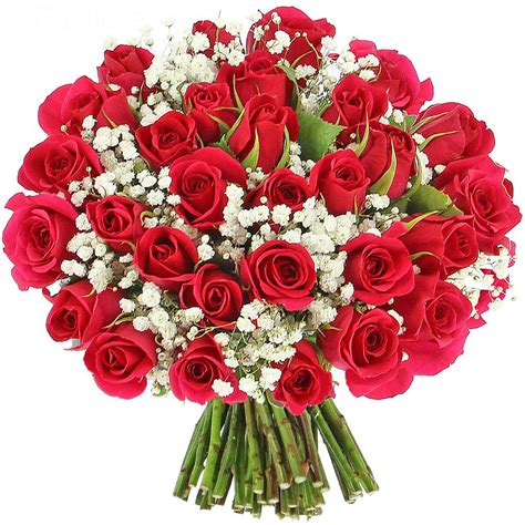 Cellophane fleurs rose, 2 chaque bouquet de roses contiendra trois sachets de nourriture pour fleurs coupées. Livraison roses délice - classique - Bouquet de roses ...