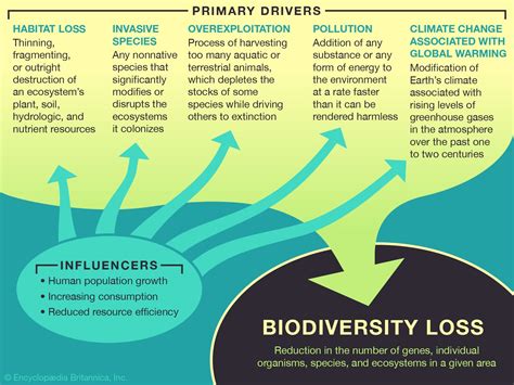 Biodiversity Loss Causes Effects And Facts Britannica