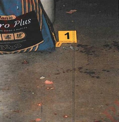 Alex Murdaugh Trial Shown Crime Scene Photos Of Bloody Dog Kennels