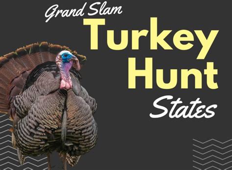 Grand Slam Turkey Hunt The 15 Best States Hunting Competition