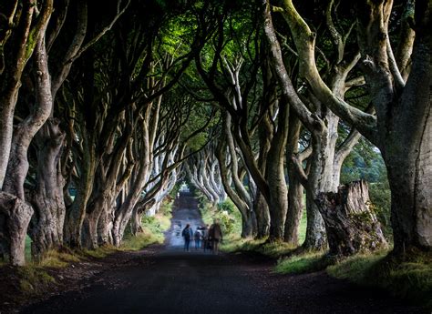 Dark Hedges Kings Road In Game Of Thrones Martin Hesketh Flickr