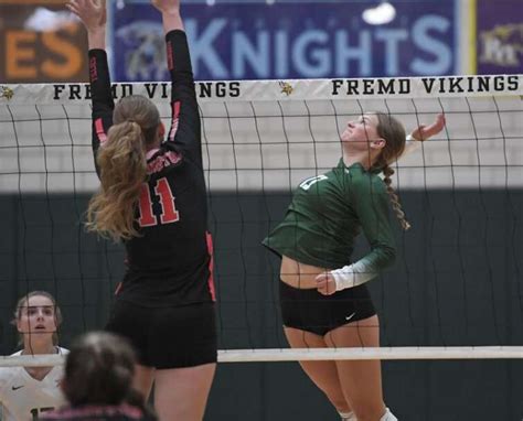 Girls Volleyball Cook County All Area Team