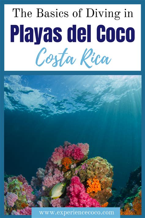 Thinking About Scuba Diving In Costa Rica Heres Everything You Need