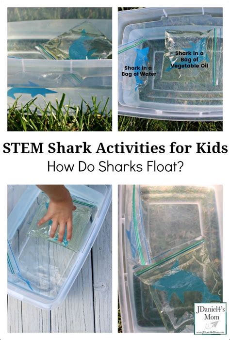Stem Shark Activities For Kids How Do Sharks Float This Series Of