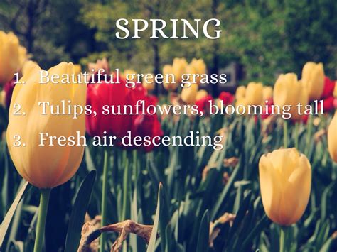 Haiku About Spring Flowers Widow S Endorphins Cherry Blossom Haiku