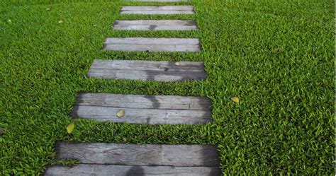 The process of growing grass for turf rolls has a relatively low impact on the environment compared to artificial turf. Natural Grass vs Synthetic Turf: Which Is Best? | Woodsman ...