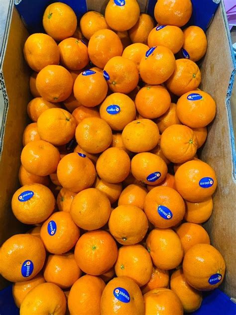 Malta A Grade Fresh Navel Orange Packaging Size 16kg Packaging Type