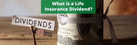 What type of life insurance earns dividends? Blog | The Insurance Pro Blog