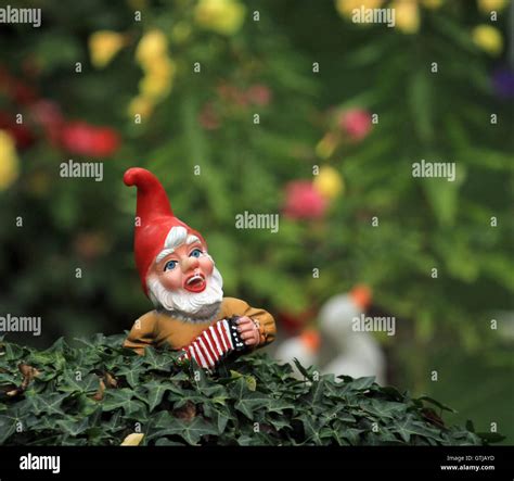 Garden Dwarf Or Gnome Stock Photo Alamy