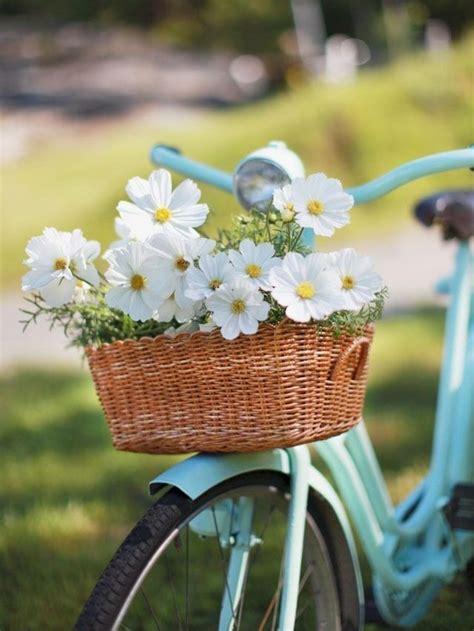 Asista vorderradkorb bikebasket happy flowers. 158 best images about VINTAGE BICYCLES on Pinterest | Bike ...