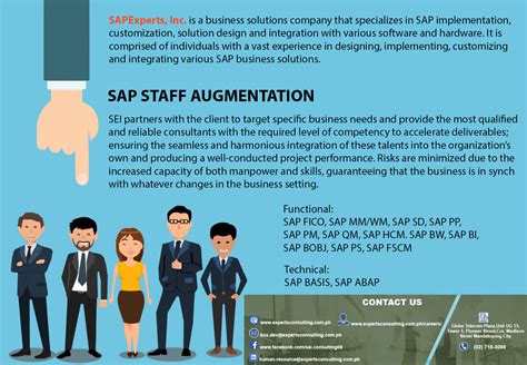 Staff Augmentation Services SEI Experts Consulting