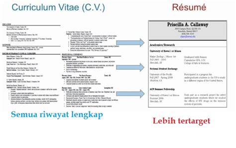 Perbedaan Cv Dan Resume Yang Wajib Diketahui Sebelum Melamar Kerja Riset