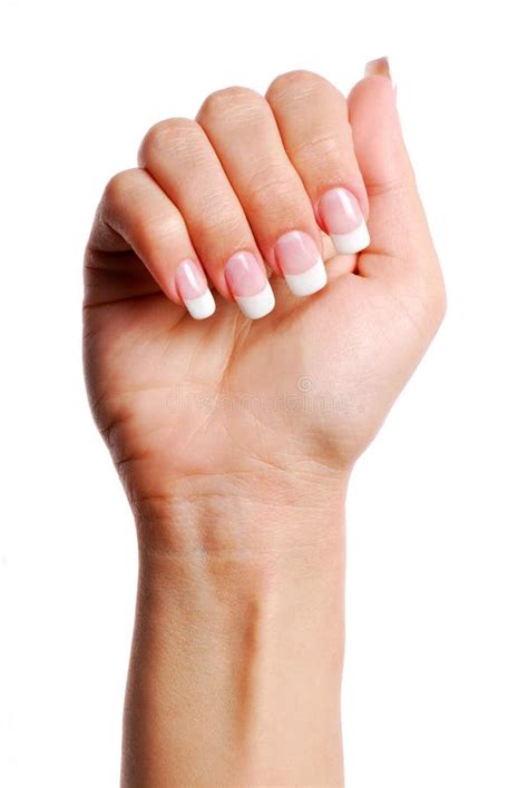 Beautifull Woman Hand Stock Image Image Of Wiht Skin 2448281