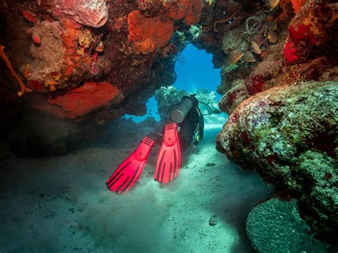 Diving With Scuba Tony Cozumel Mexico Wide Angle Adventure