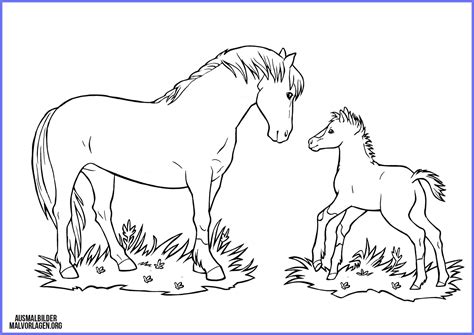 Auf dieser seite findet ihr die verschiedensten ausmalbilder zum thema pferde und ponys. Ausmalbilder Pferde Mit Fohlen - MalVor