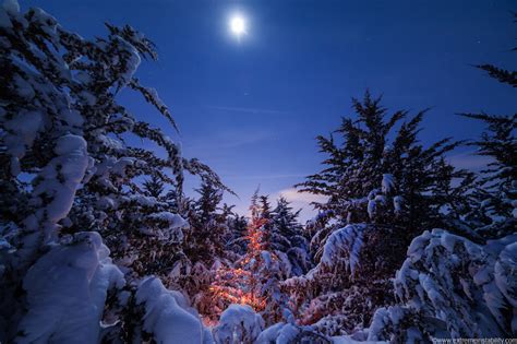 December 21 2012 Christmas Lights Moon And Snow Covered Trees