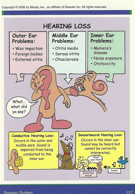 Hearing Loss Audiology Deaf Education Hearing Health