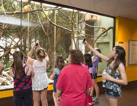 How To Design a Zoo Exhibit In Four Steps | Smithsonian Voices
