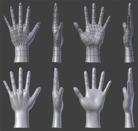 Attachment Php Hand Model Anatomy Reference Topology