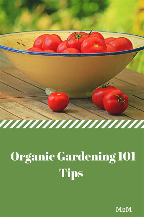 Organic Gardening 101 Making The Most Out Of Your Backyard Mother 2