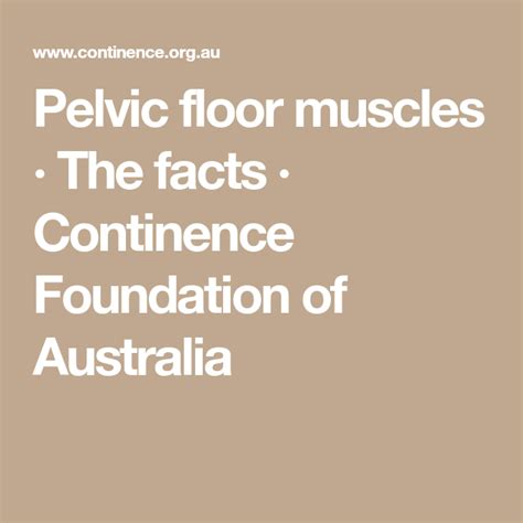 Pelvic Floor Muscles · The Facts · Continence Foundation Of Australia Pelvic Floor Pelvic