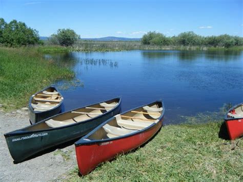 Canoeing Is Only One Of Many Fantastic Outdoor Date Ideas Check Out More Adorable Active