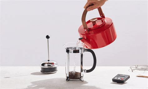 What is a french press exactly? How to Make the Best French Press Coffee