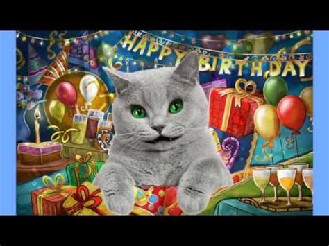 Sentimental or silly, family or friend, every doozy ecard is a unique way to show the people in your life just how much you care. Funny Fav - Cat Singing Happy Birthday Song | Singing ...